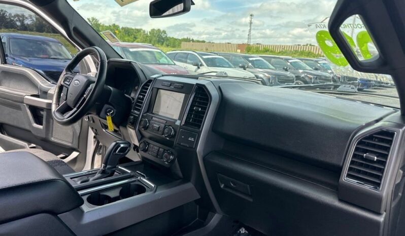 
 Ford F-150 full									