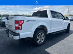 
 Ford F-150 full									