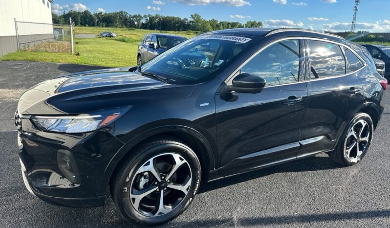 
 Ford Escape full									