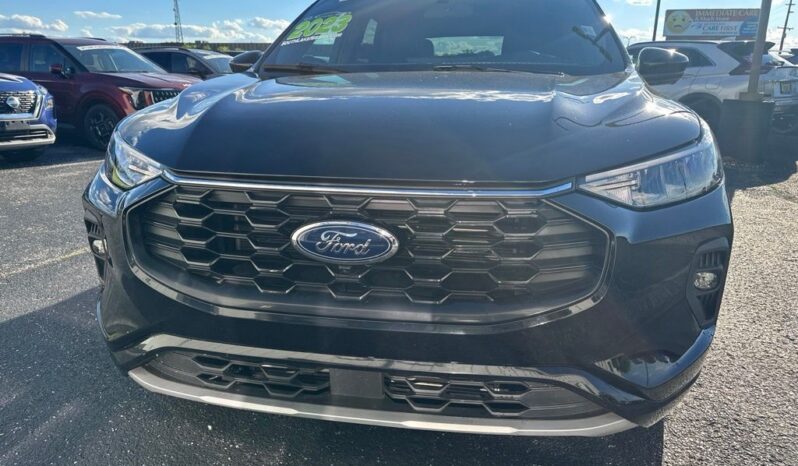 
 Ford Escape full									