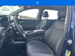 
 Hyundai Santa Fe full									