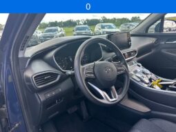 
 Hyundai Santa Fe full									