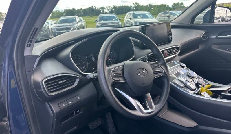 
 Hyundai Santa Fe full									