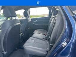 
 Hyundai Santa Fe full									