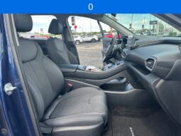 
 Hyundai Santa Fe full									