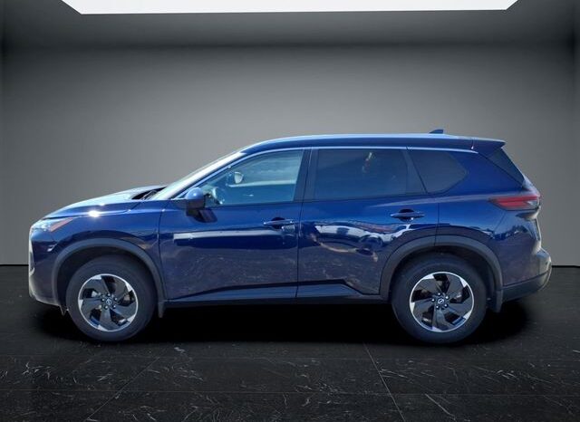 
 Nissan Rogue full									