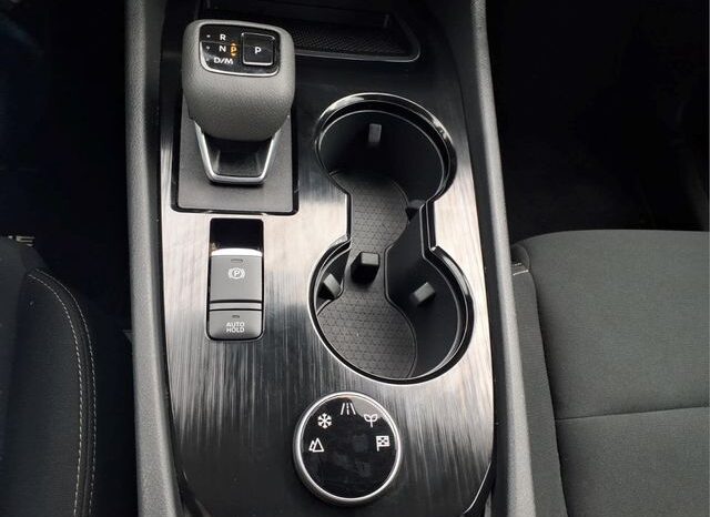 
 Nissan Rogue full									