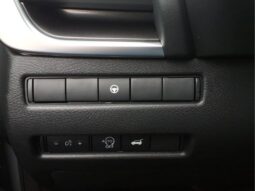 
 Nissan Rogue full									