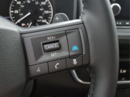 
 Nissan Rogue full									