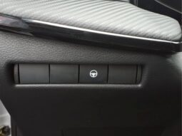 
 Nissan Kicks full									