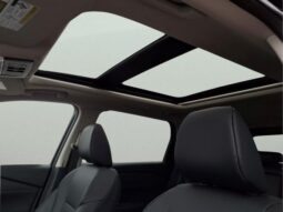
 Nissan Rogue full									