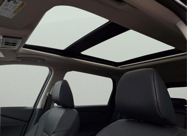 
 Nissan Rogue full									