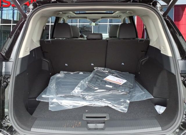 
 Nissan Rogue full									