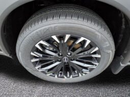 
 Nissan Rogue full									
