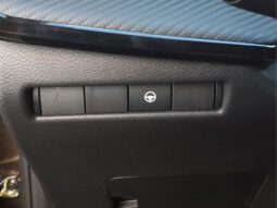 
 Nissan Kicks full									