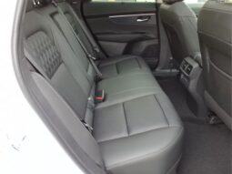 Nissan Murano full