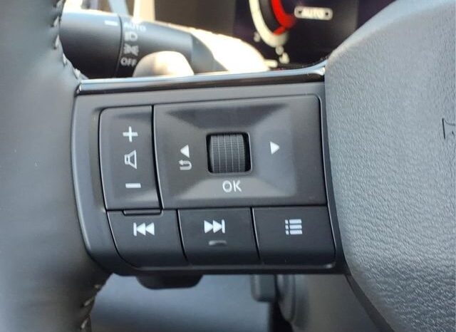 
 Nissan Pathfinder full									