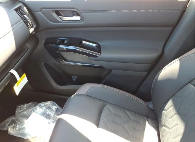 
 Nissan Pathfinder full									