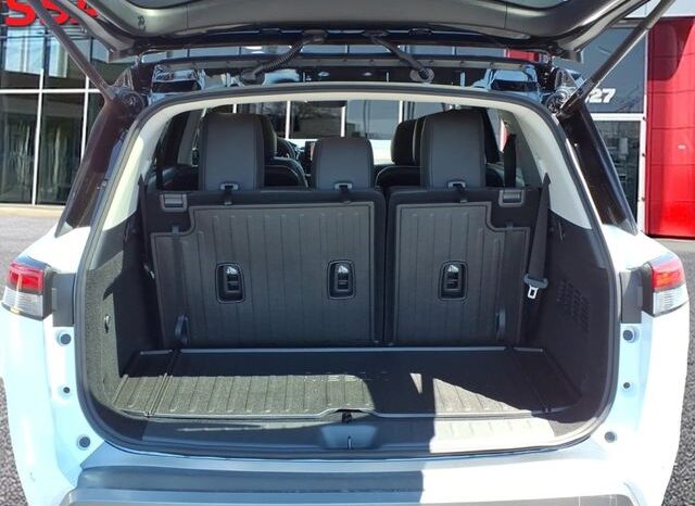 
 Nissan Pathfinder full									