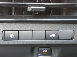
 Nissan Murano full									