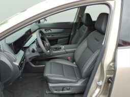 
 Nissan Murano full									