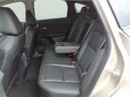 
 Nissan Murano full									