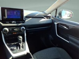 Toyota RAV4 Hybrid full