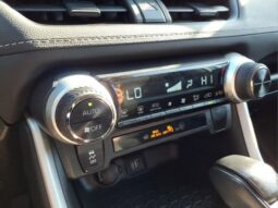 Toyota RAV4 Hybrid full