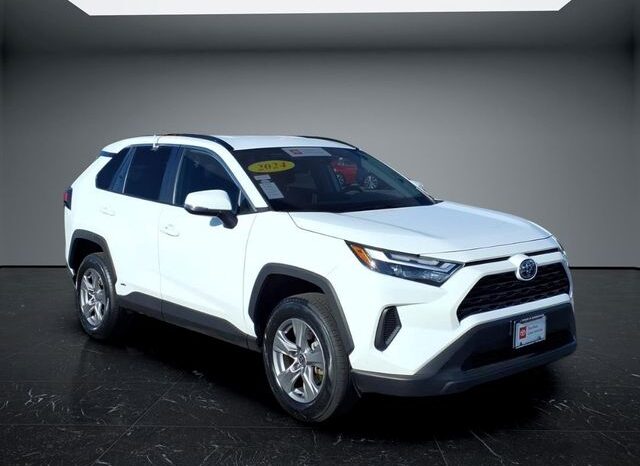 
 Toyota RAV4 Hybrid full									