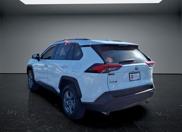 
 Toyota RAV4 Hybrid full									