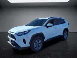 Toyota RAV4 Hybrid full