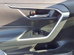 Toyota RAV4 Hybrid full