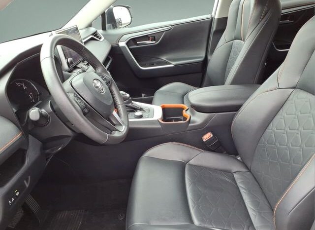 
 Toyota RAV4 full									