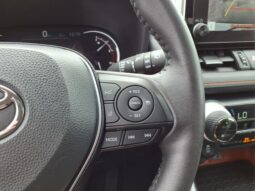 Toyota RAV4 full