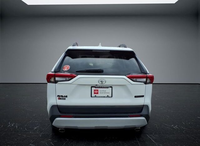 
 Toyota RAV4 full									