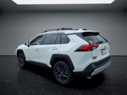 Toyota RAV4 full