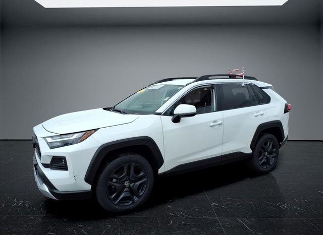 
 Toyota RAV4 full									