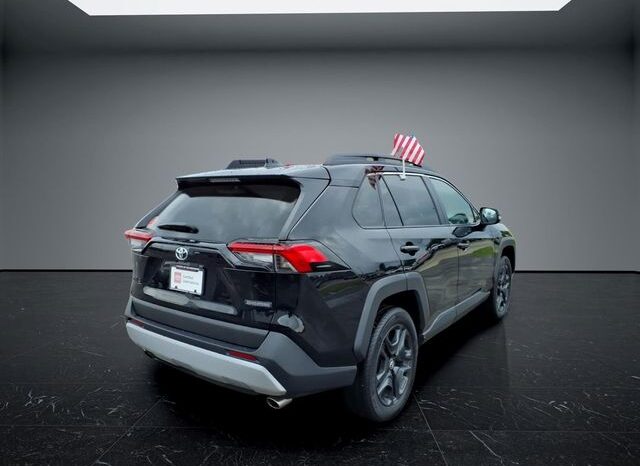 
 Toyota RAV4 full									