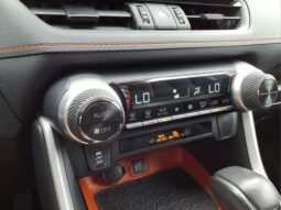 Toyota RAV4 full