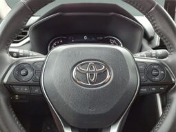 Toyota RAV4 full