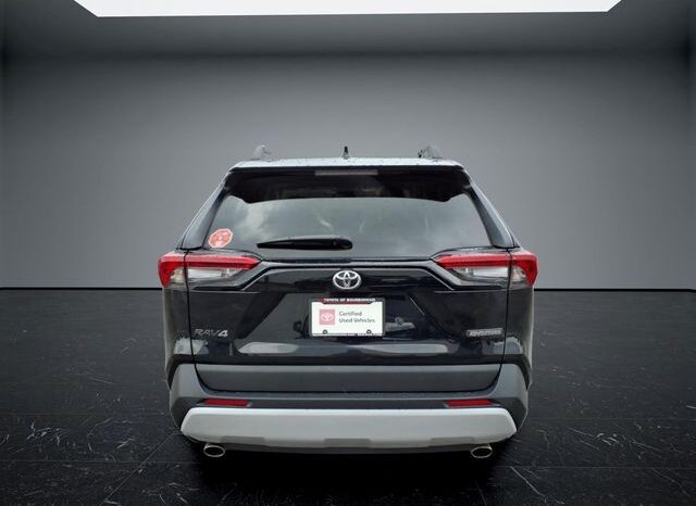 
 Toyota RAV4 full									