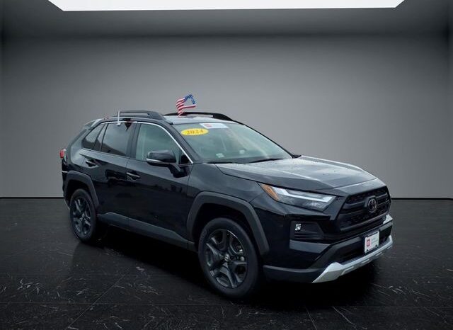 
 Toyota RAV4 full									