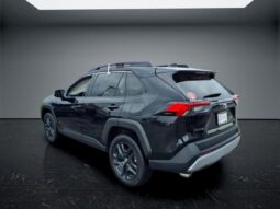 Toyota RAV4 full