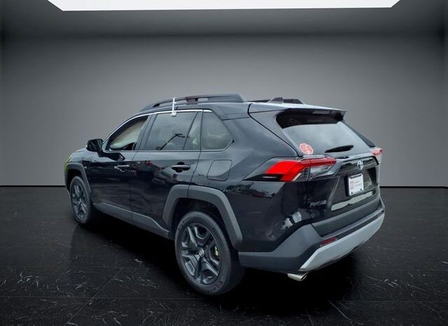 
 Toyota RAV4 full									