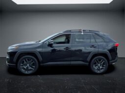 Toyota RAV4 full