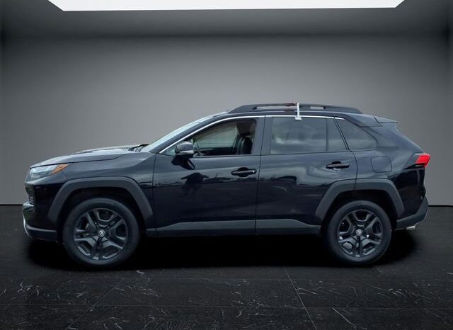 
 Toyota RAV4 full									