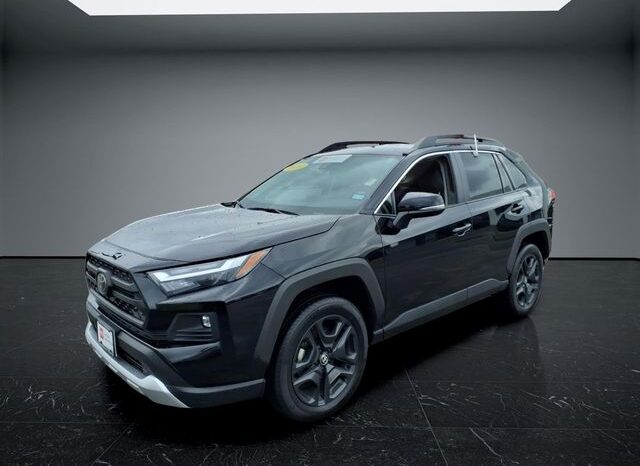 
 Toyota RAV4 full									