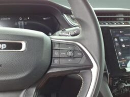 
 Jeep Grand Cherokee full									