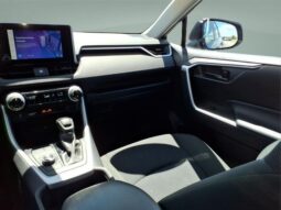 
 Toyota RAV4 Hybrid full									