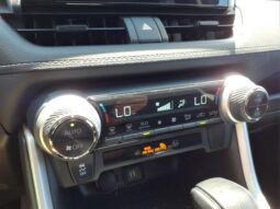 
 Toyota RAV4 Hybrid full									